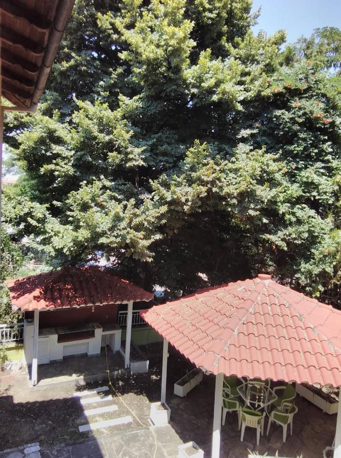 Apartment Garden House